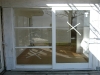 P1000155.JPG