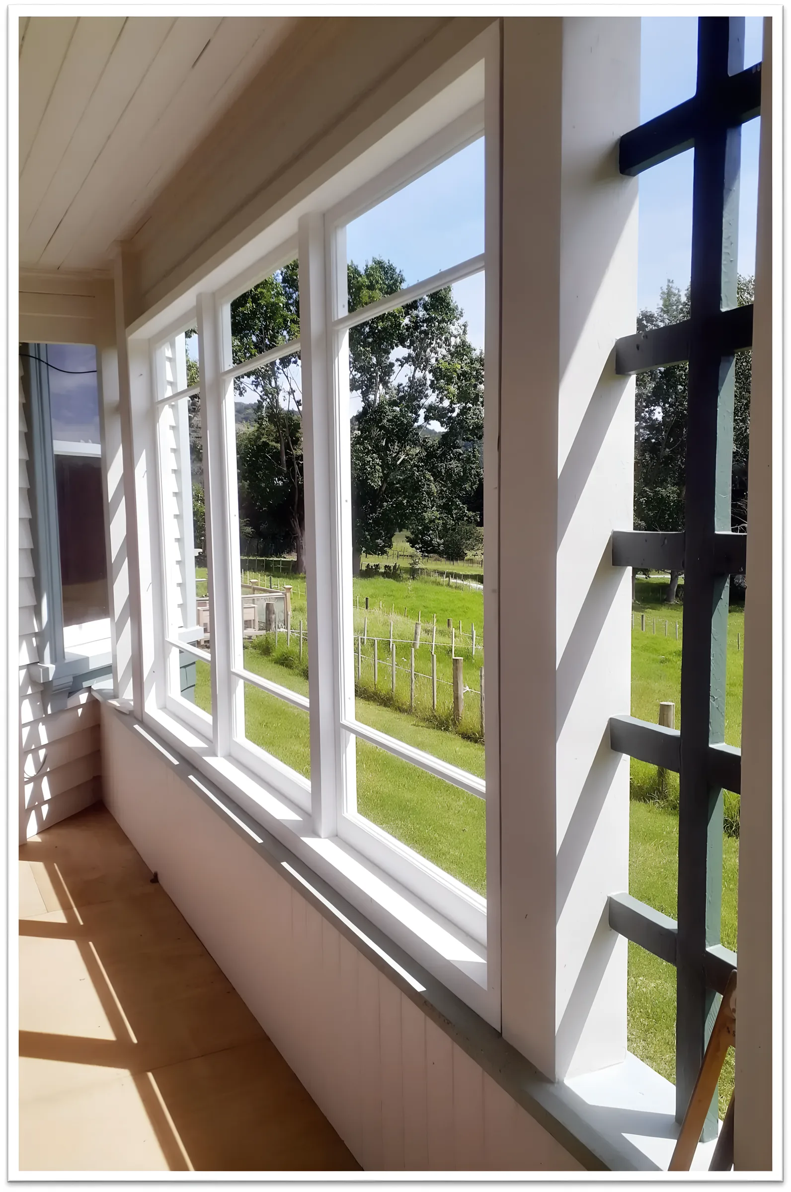 New windows installed with a garden view